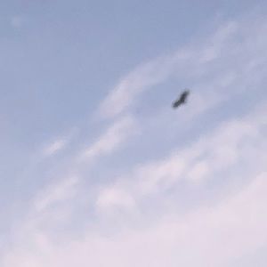 Meet your Posher, Cortney